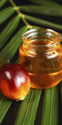Palm Oil